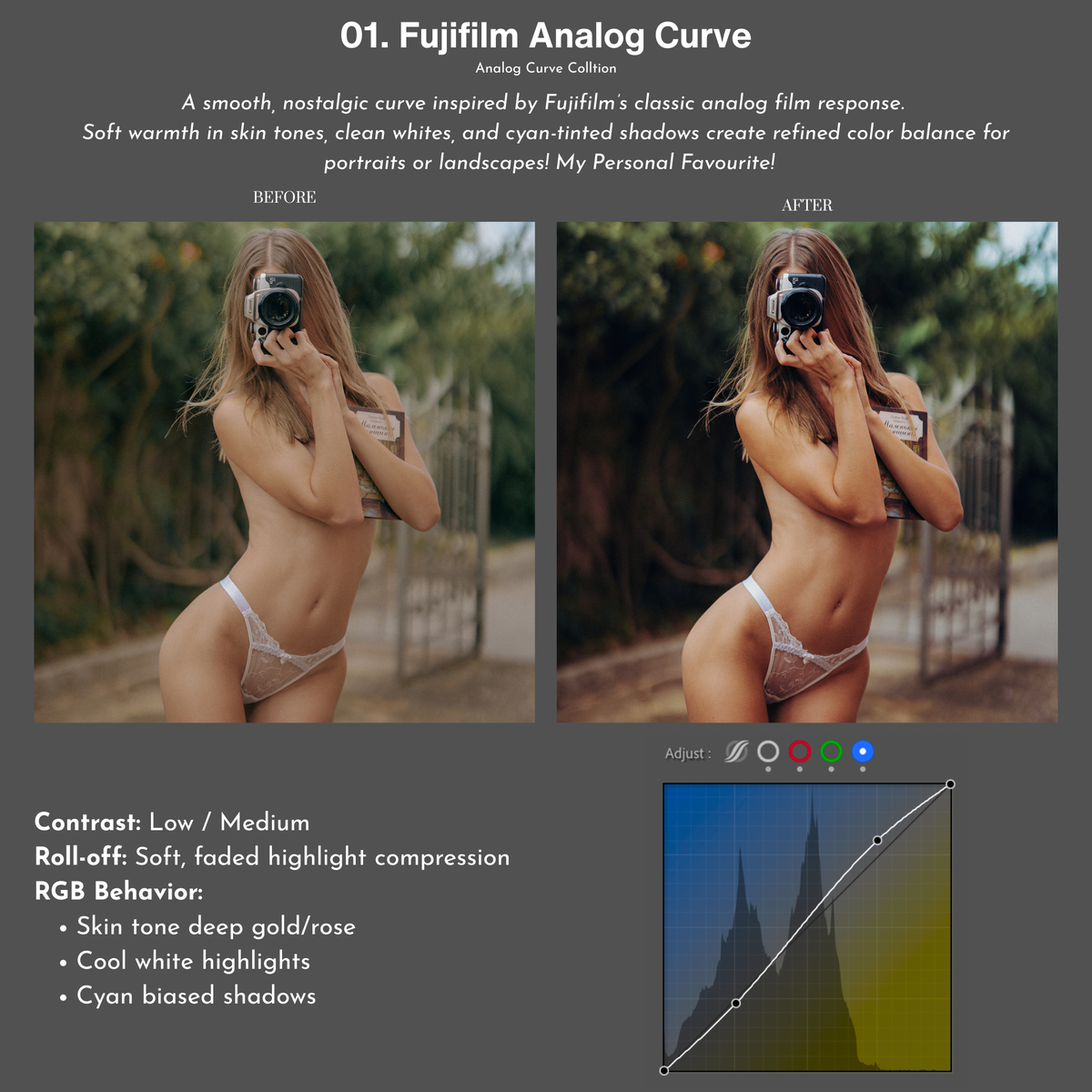 Analog Curve Collection - V3.5
