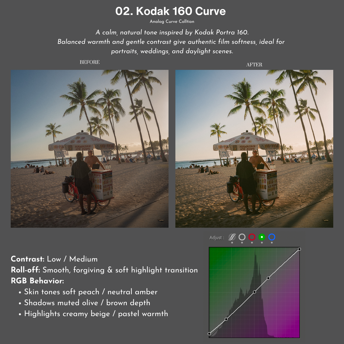 Analog Curve Collection - V3.5