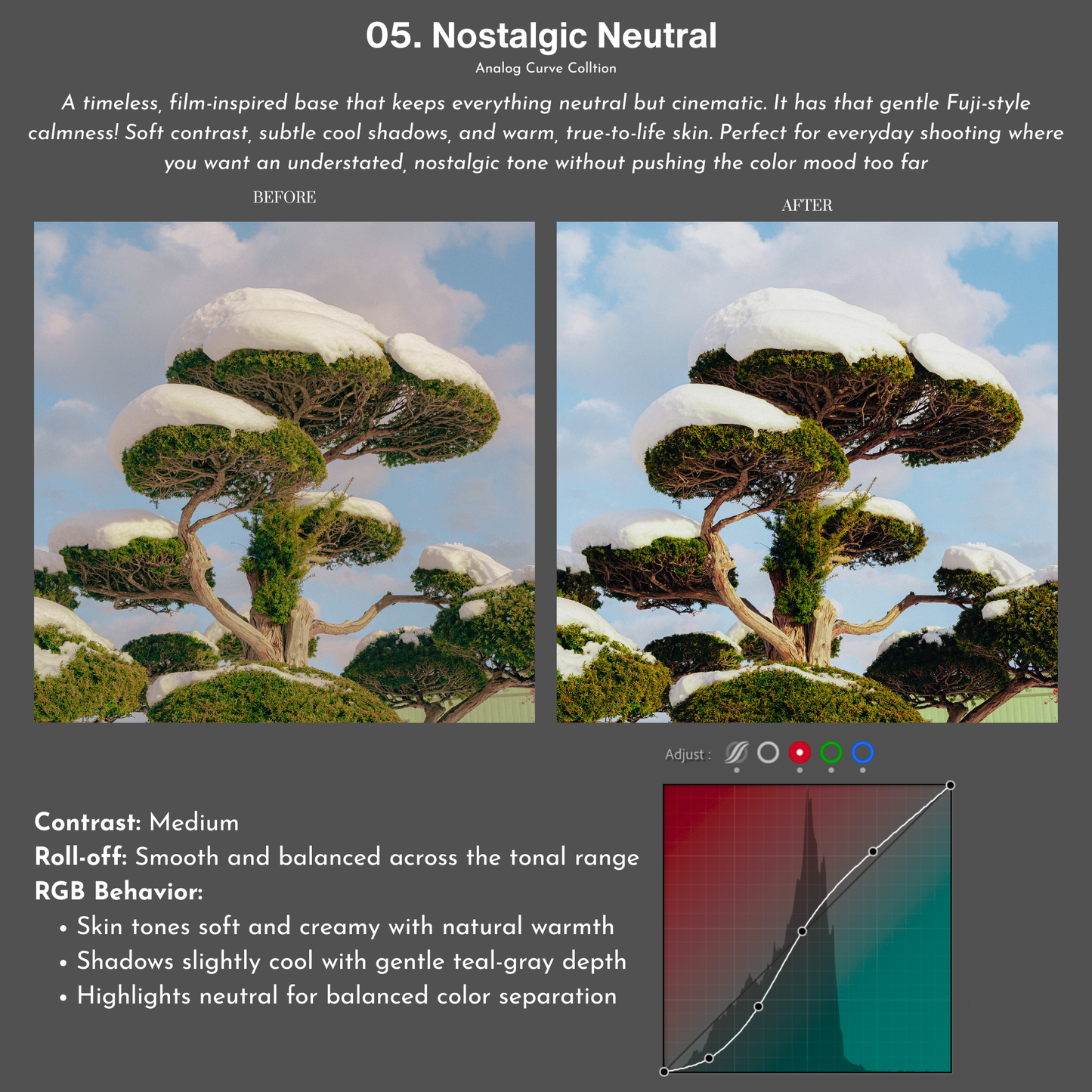 Analog Curve Collection