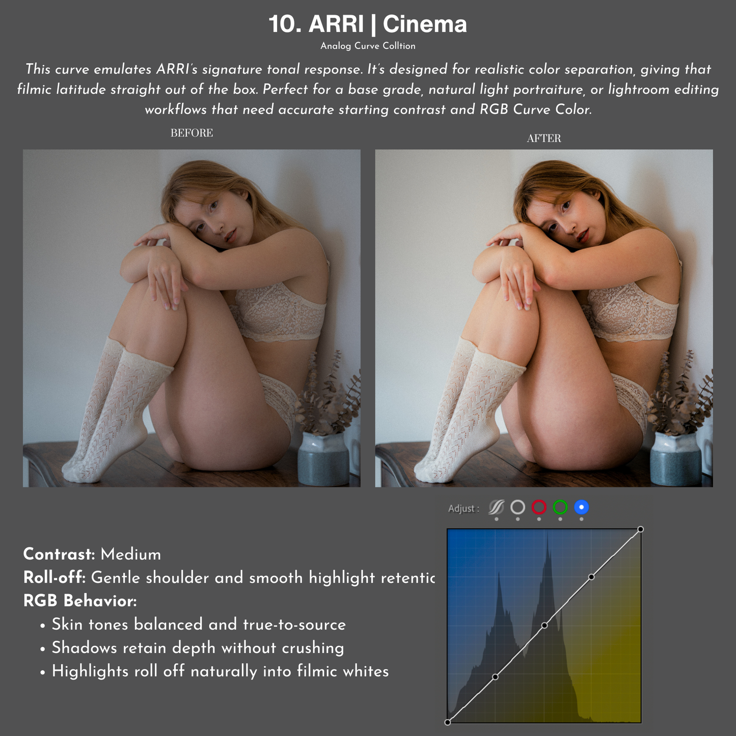 Analog Curve Collection