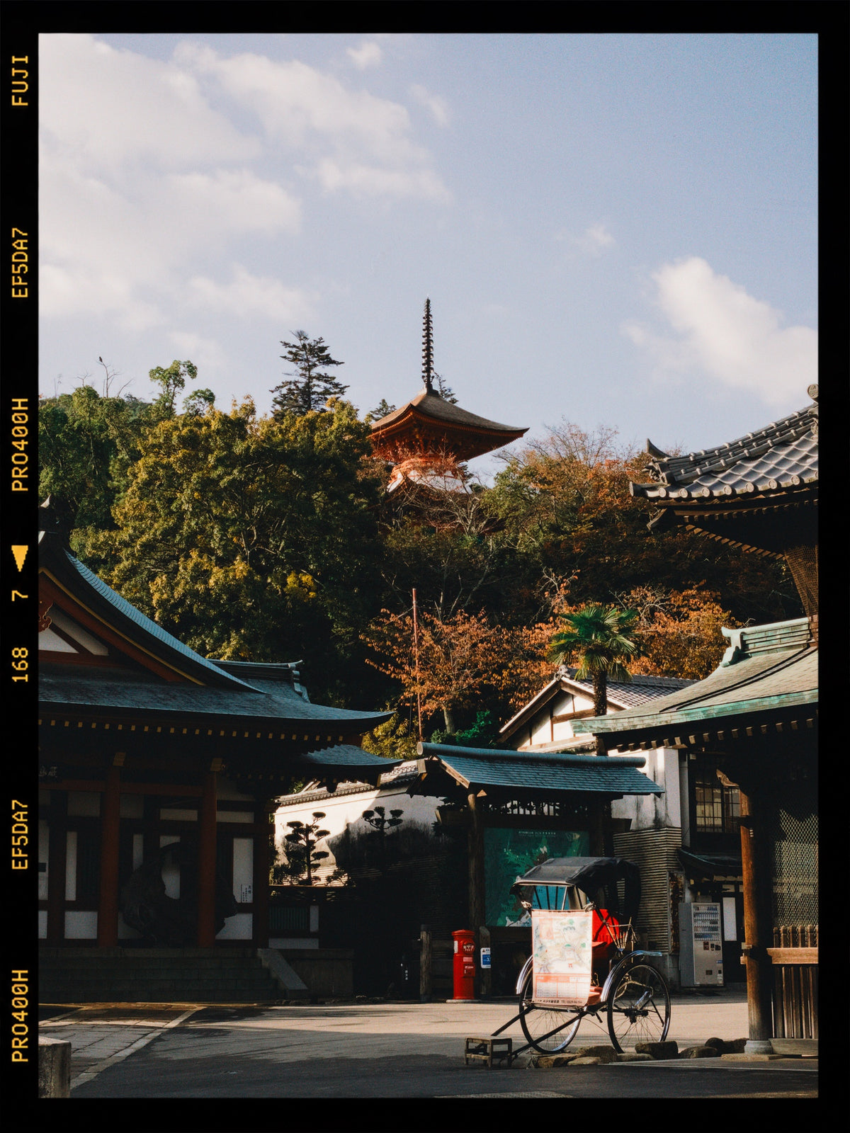 GN07 | Fujifilm Pro 400H — Frontier
