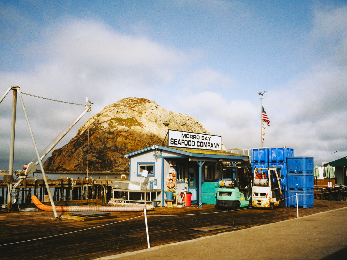GN11 | Kodak Gold (Frontier)