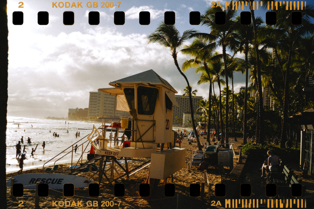 GN12 | Kodak Gold (Noritsu)